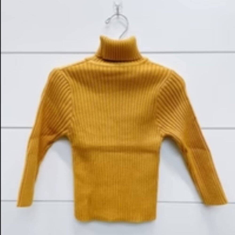 Mustard Ribbed Sweater Turtleneck